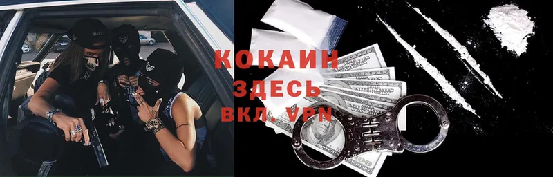 даркнет сайт  KRAKEN ССЫЛКА  Cocaine Fish Scale  darknet как зайти  Великий Новгород 